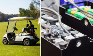 best golf cart batteries for the money